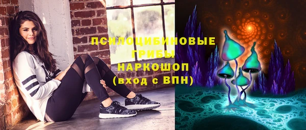 PSILOCYBIN Касимов