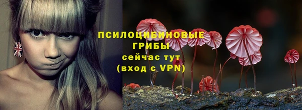 PSILOCYBIN Касимов