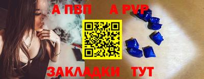 кокс Гатчина
