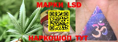 кокс Гатчина