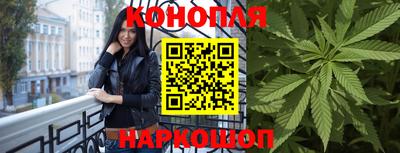 кокс Гатчина