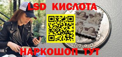 кокс Гатчина