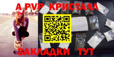 кокс Гатчина